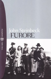 Libro Furore