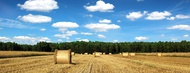 Campagna